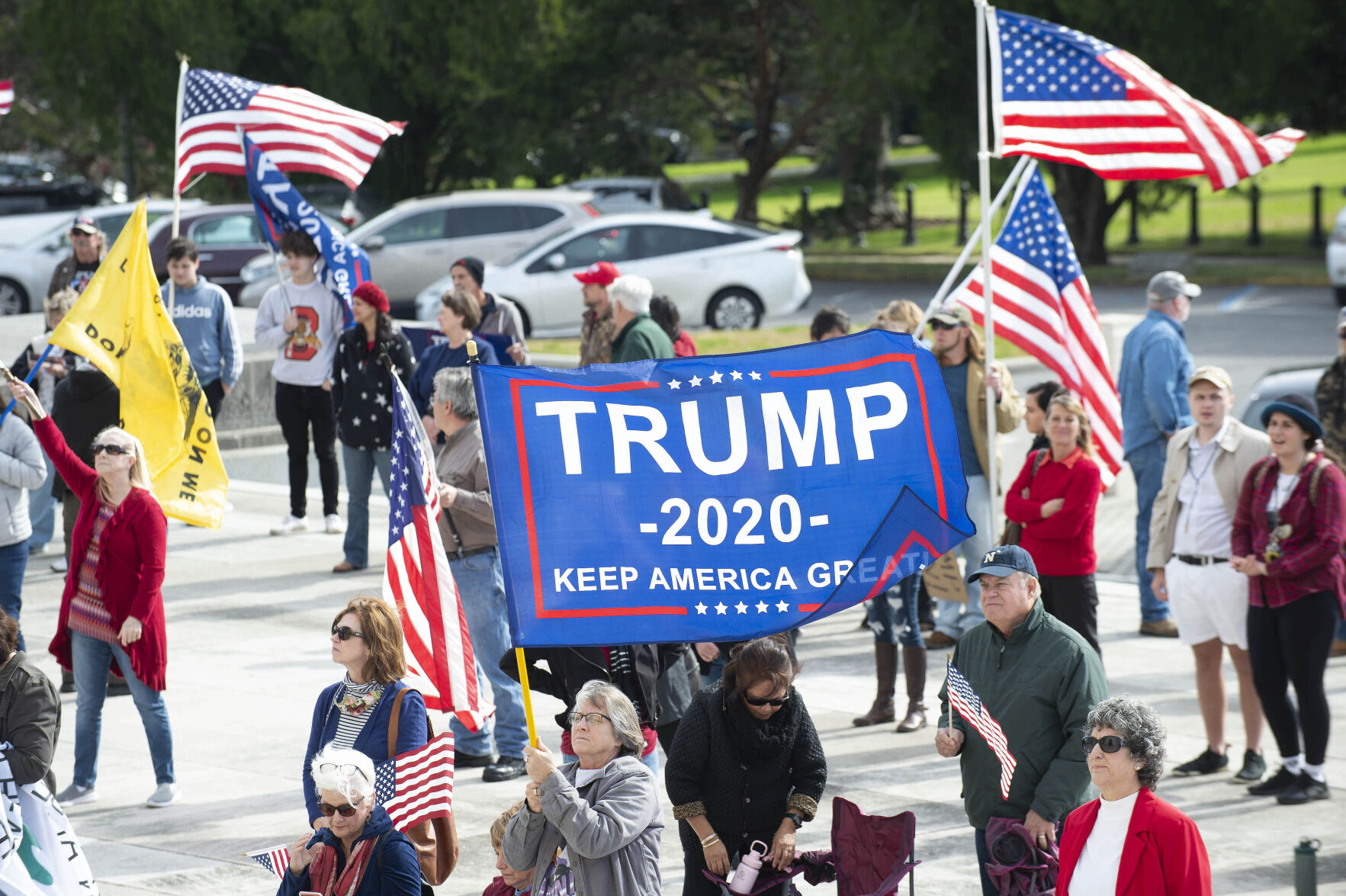 BR.stopthestealrally.010721 TS 138.jpg